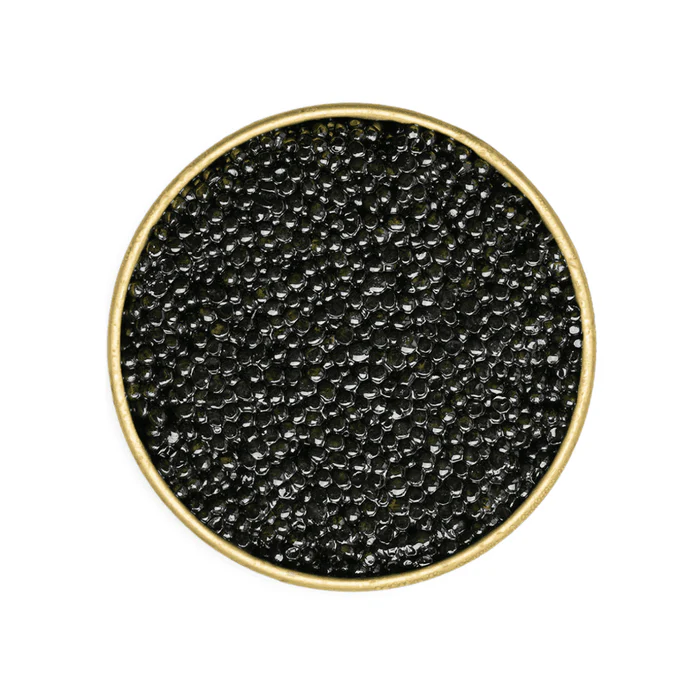 White Sturgeon Caviar